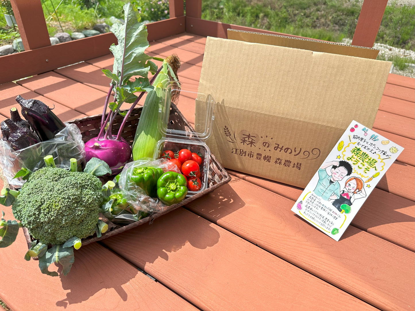 野菜ソムリエ厳選 森のみのり野菜セット『爽』 (毎週木曜発送)