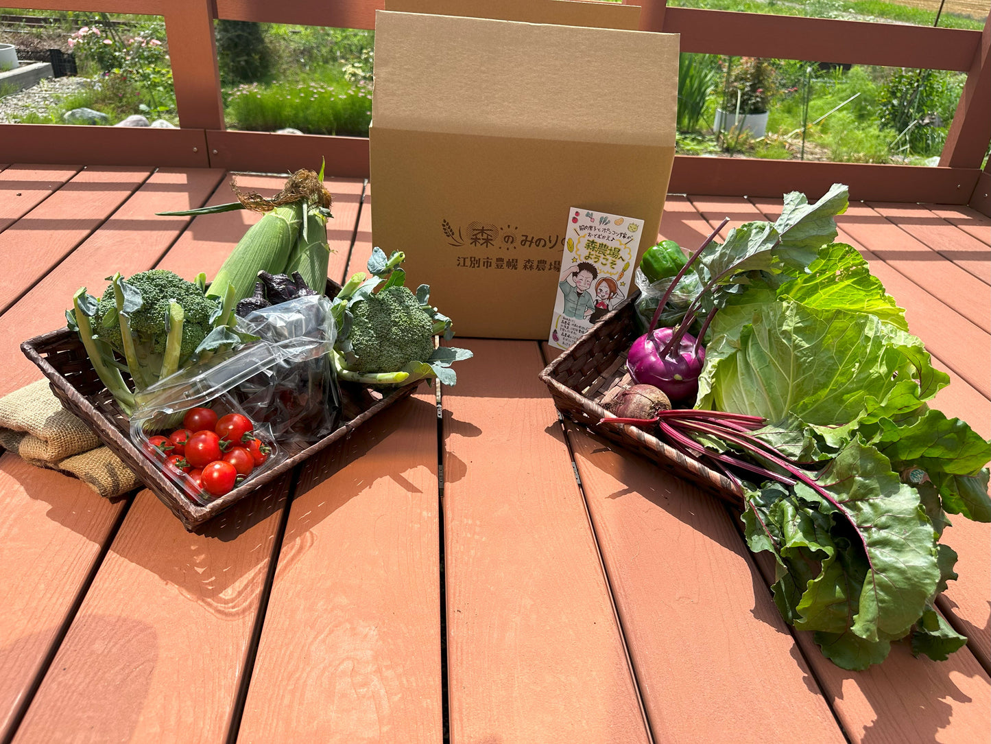 野菜ソムリエ厳選 森のみのり野菜セット『晴』 (毎週木曜発送)