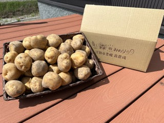 有機栽培 「きたあかり」5㎏