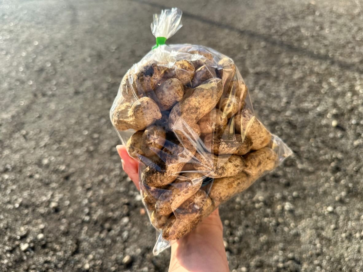 生落花生　１㎏