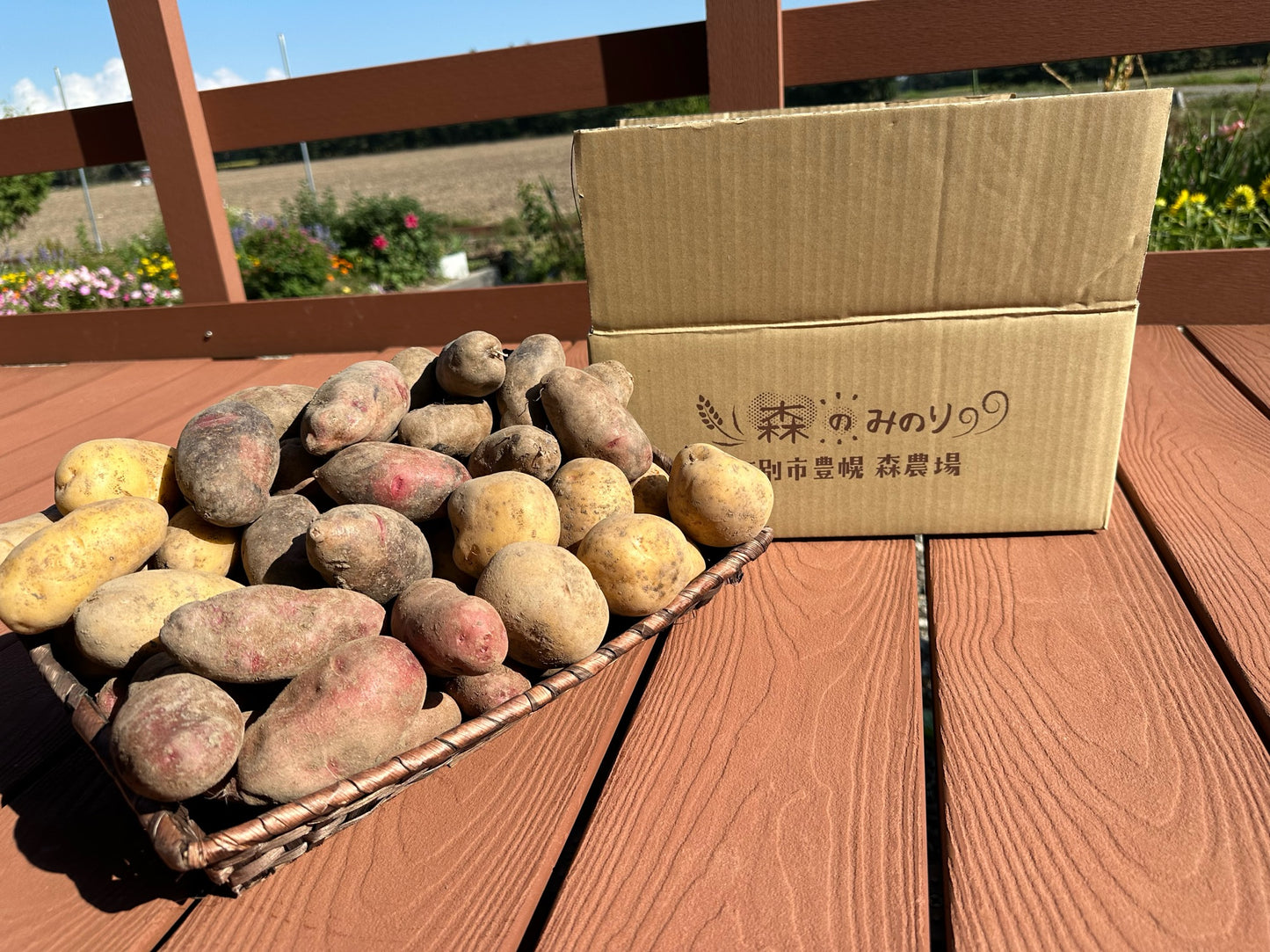 有機栽培　じゃがいも　５品種食べ比べセット　5kg