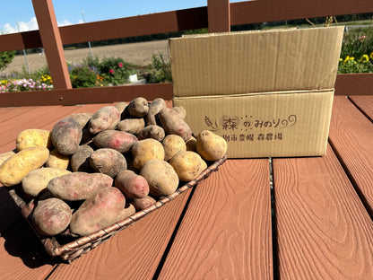 有機栽培　じゃがいも　５品種食べ比べセット　5kg