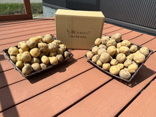 有機栽培　「きたあかり」１０㎏