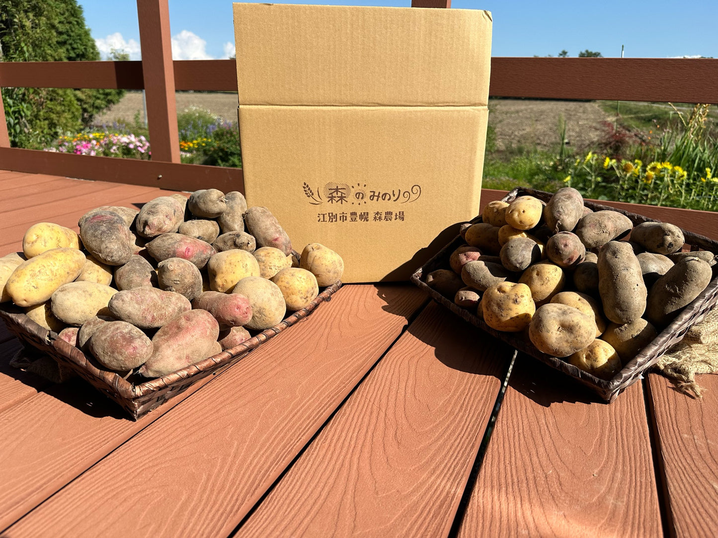 有機栽培　じゃがいも　５品種食べ比べセット　１０㎏