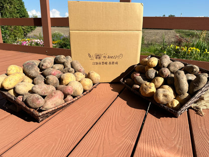 有機栽培　じゃがいも　５品種食べ比べセット　１０㎏